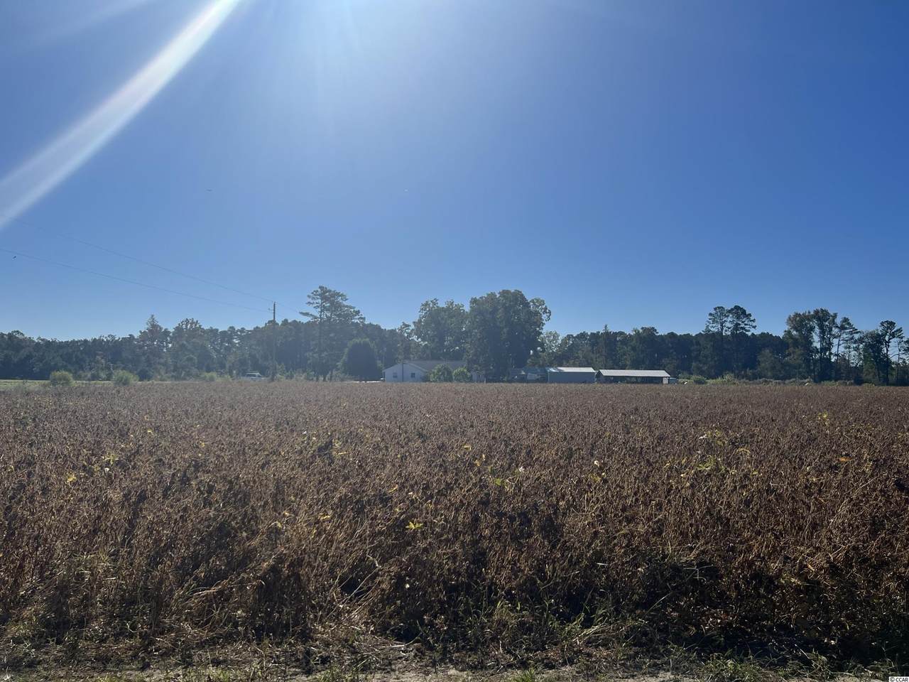 12.71 Acres Red Bluff Rd. - Photo 1