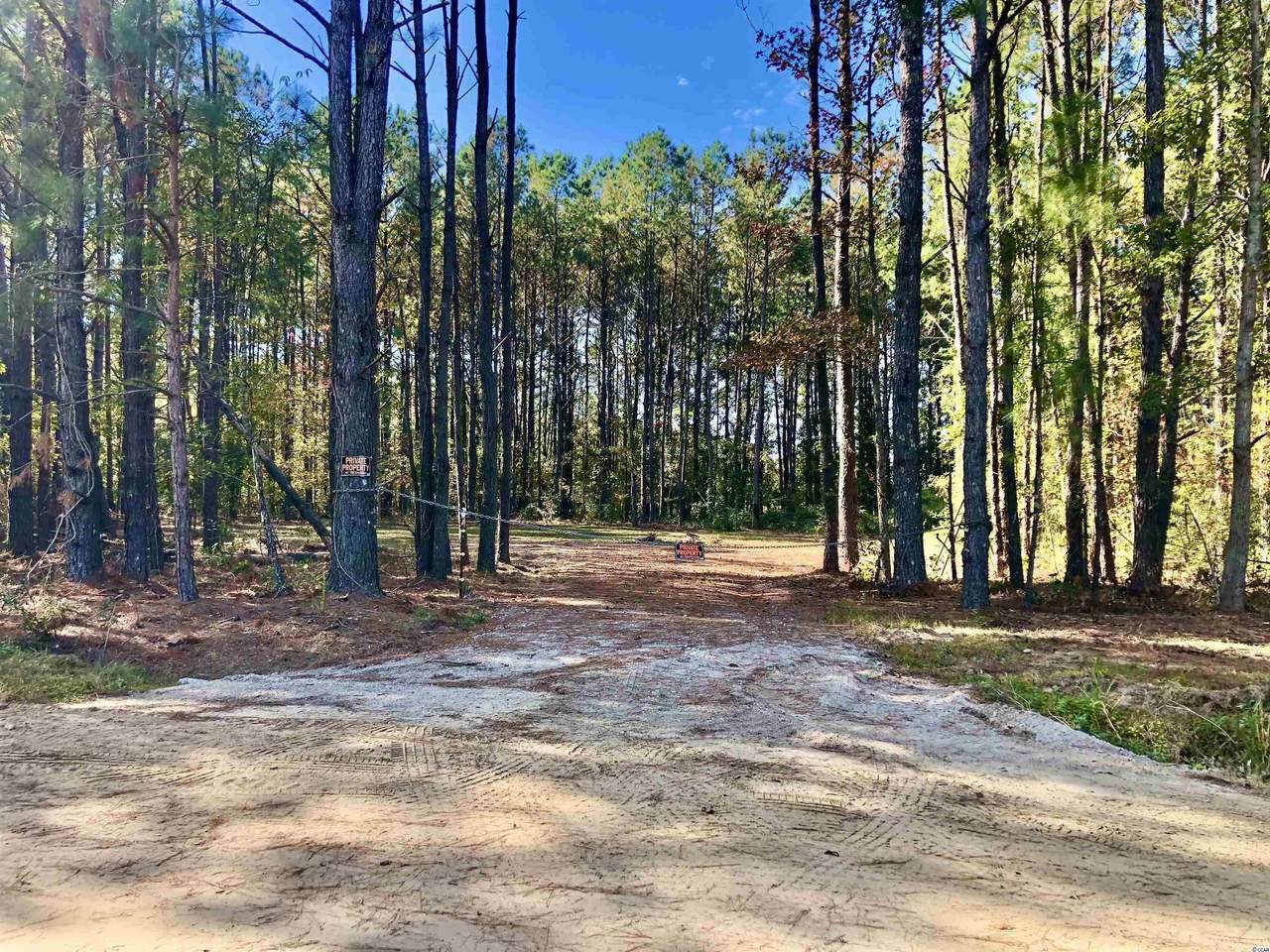 TBD Kickapoo Dr. - Photo 1