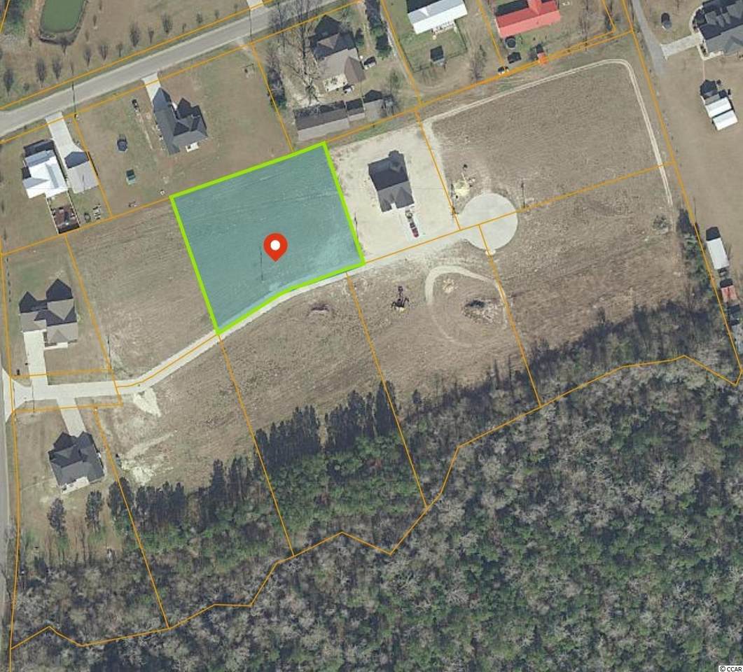 209 Shady Pines Ct. - Photo 1