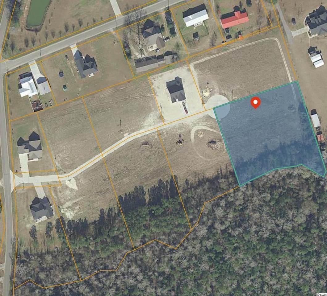 216 Shady Pines Ct. - Photo 1