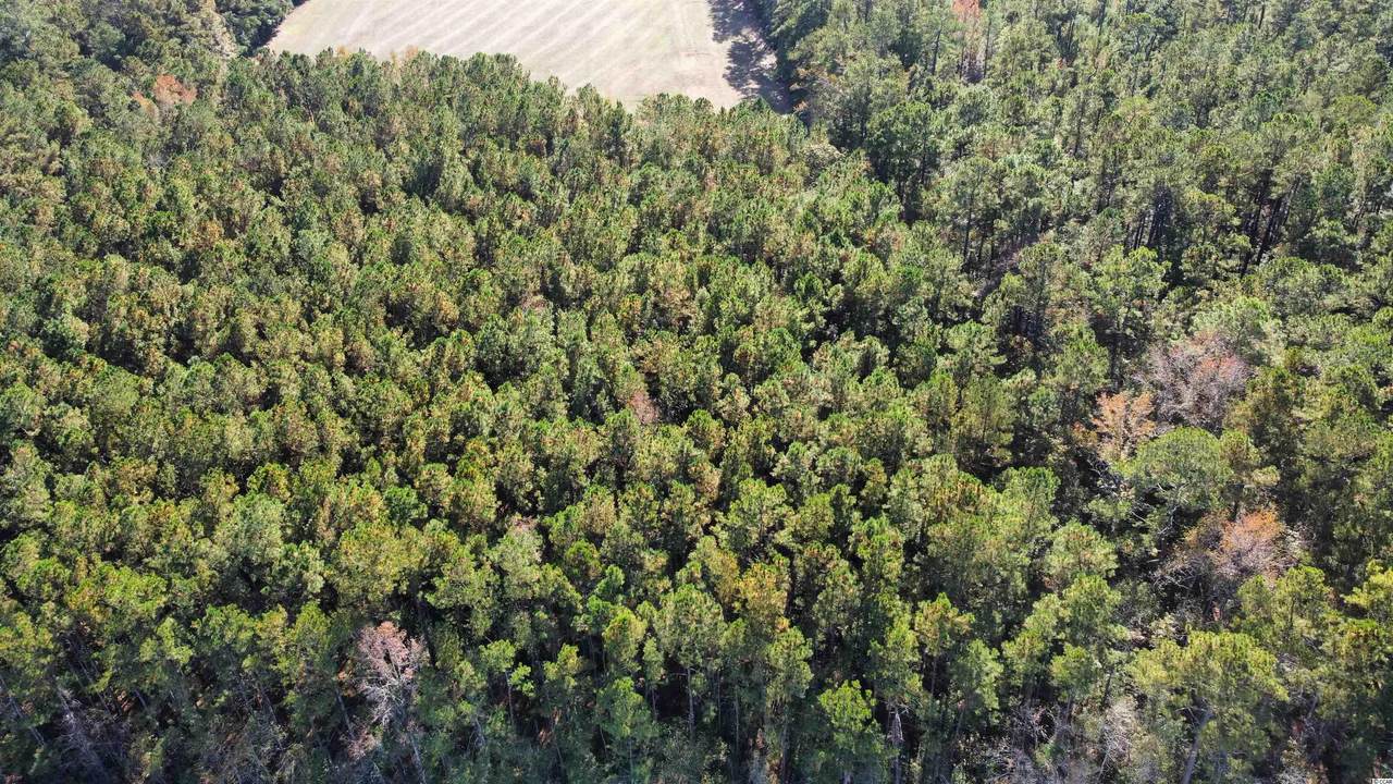 TBD Long Horne Ranch Dr. - Photo 1