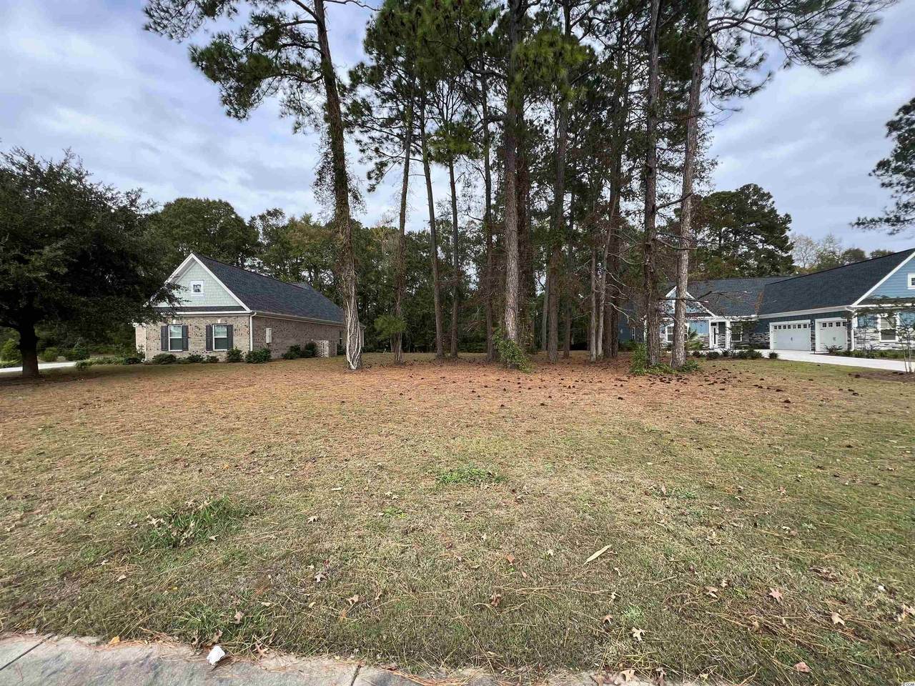 1806 Wood Stork Dr. - Photo 1