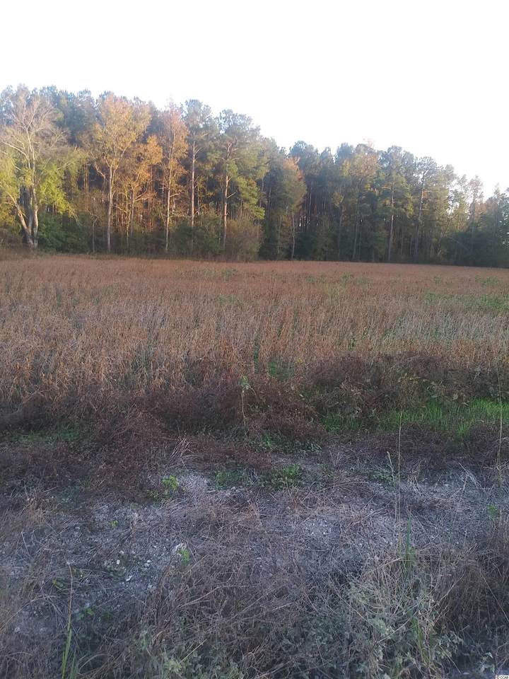 Lot 3 Miller Rd. - Photo 1