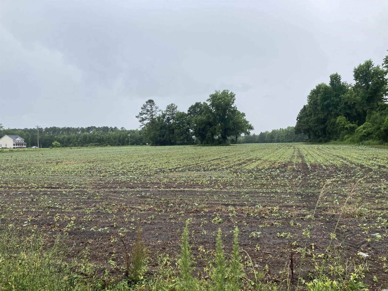 Tract A Wildflower Rd. - Photo 1