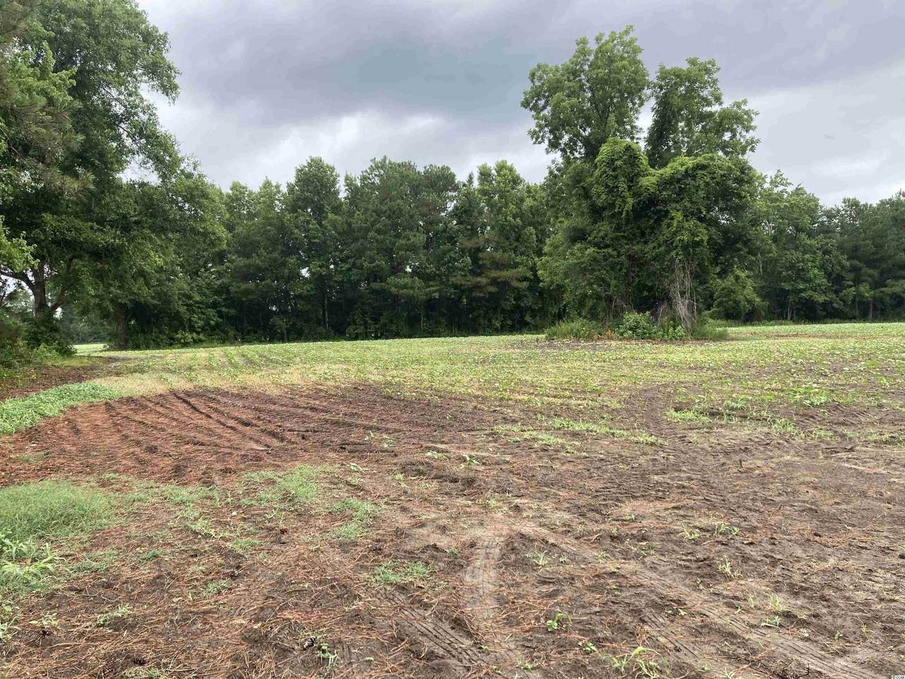 Tract B Wildflower Rd. - Photo 1