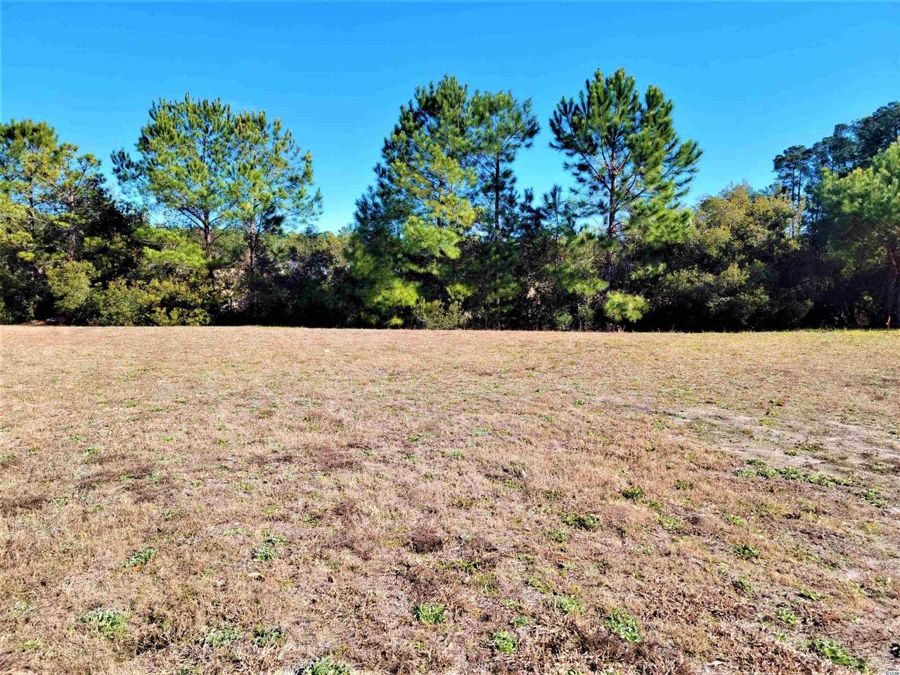 1004 Muskeg Ct. - Photo 1