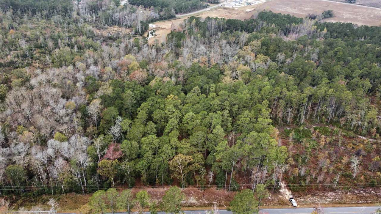 TBD Highway 19 - Photo 1