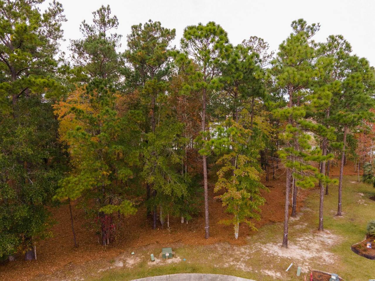 2417 Gist Ln. - Photo 1