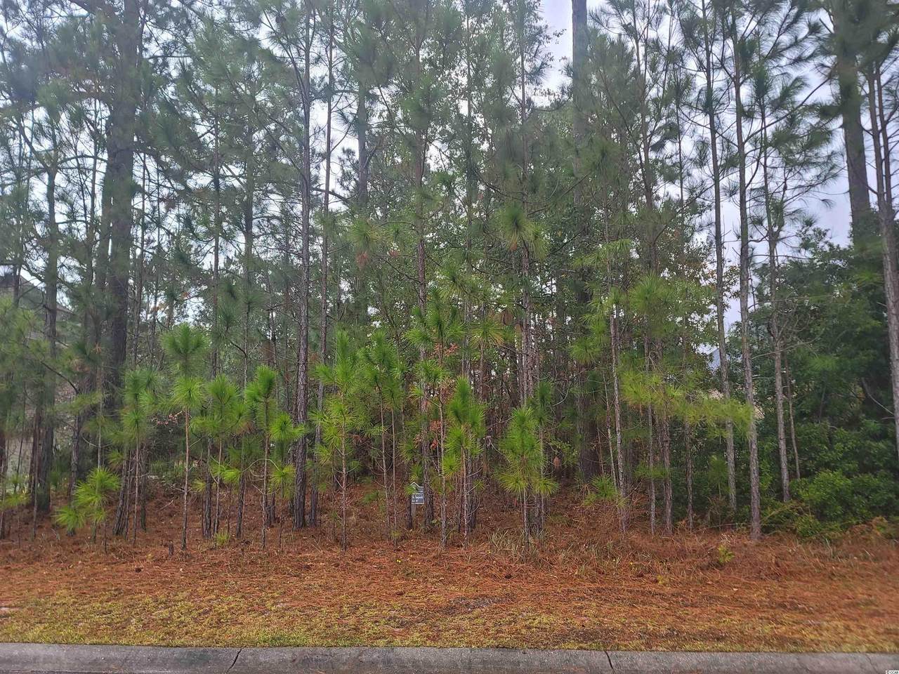 5178 Alwoodley Ln. - Photo 1