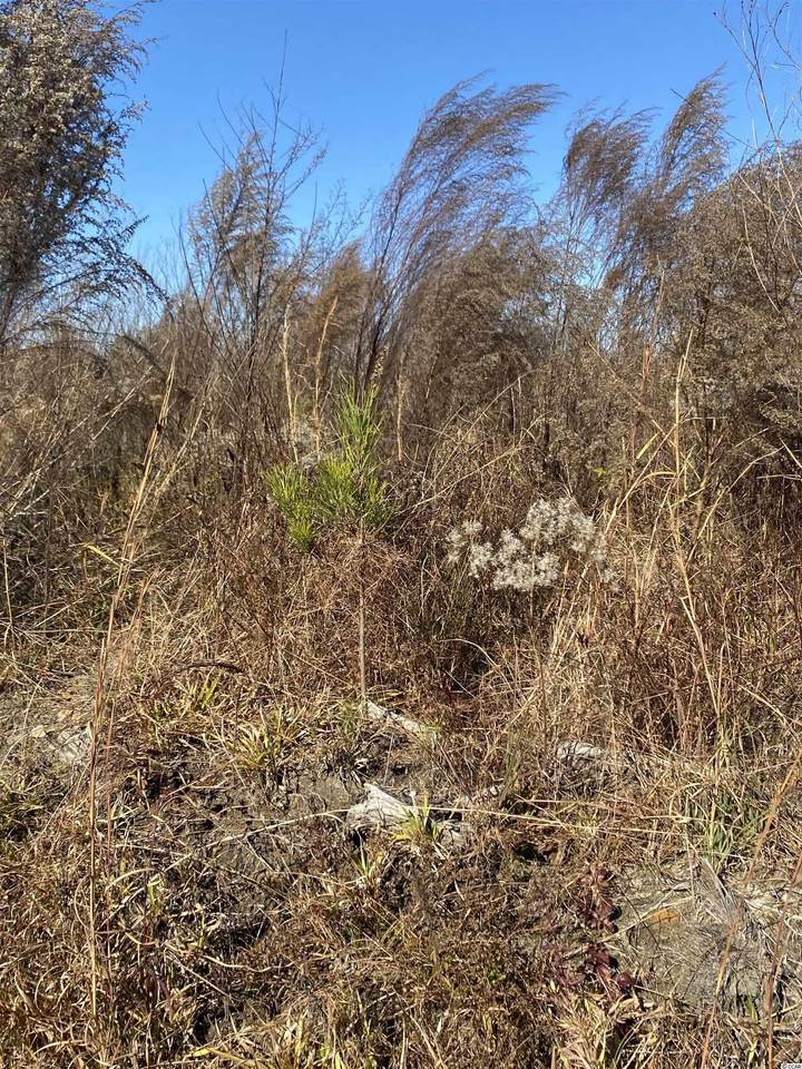 0 Mcgirt Swamp Rd. - Photo 1