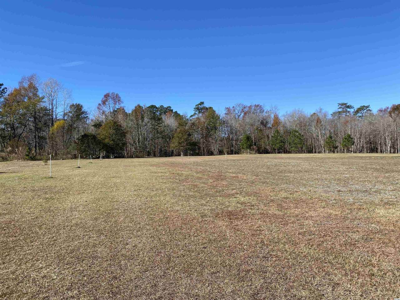 TBD Marigold Rd. - Photo 1