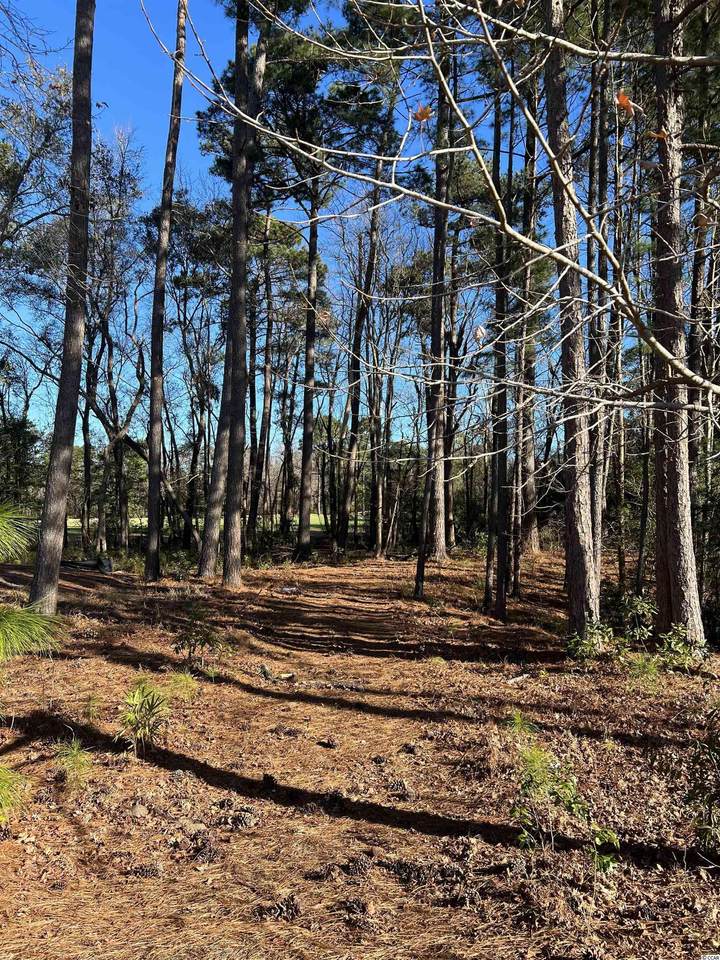 1000 Maccoa Dr. - Photo 1