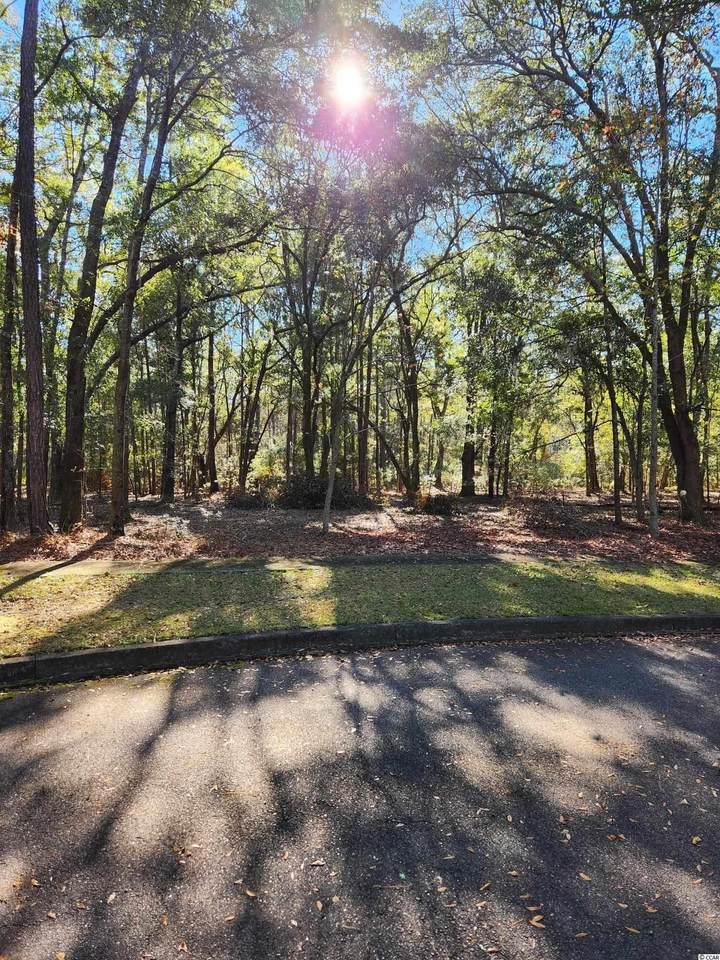 19 Serenity Park Ln - Photo 1