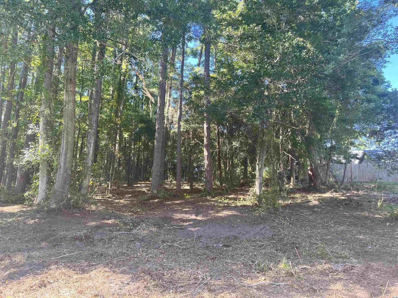 Lot 7 Luck Ave. - Photo 1