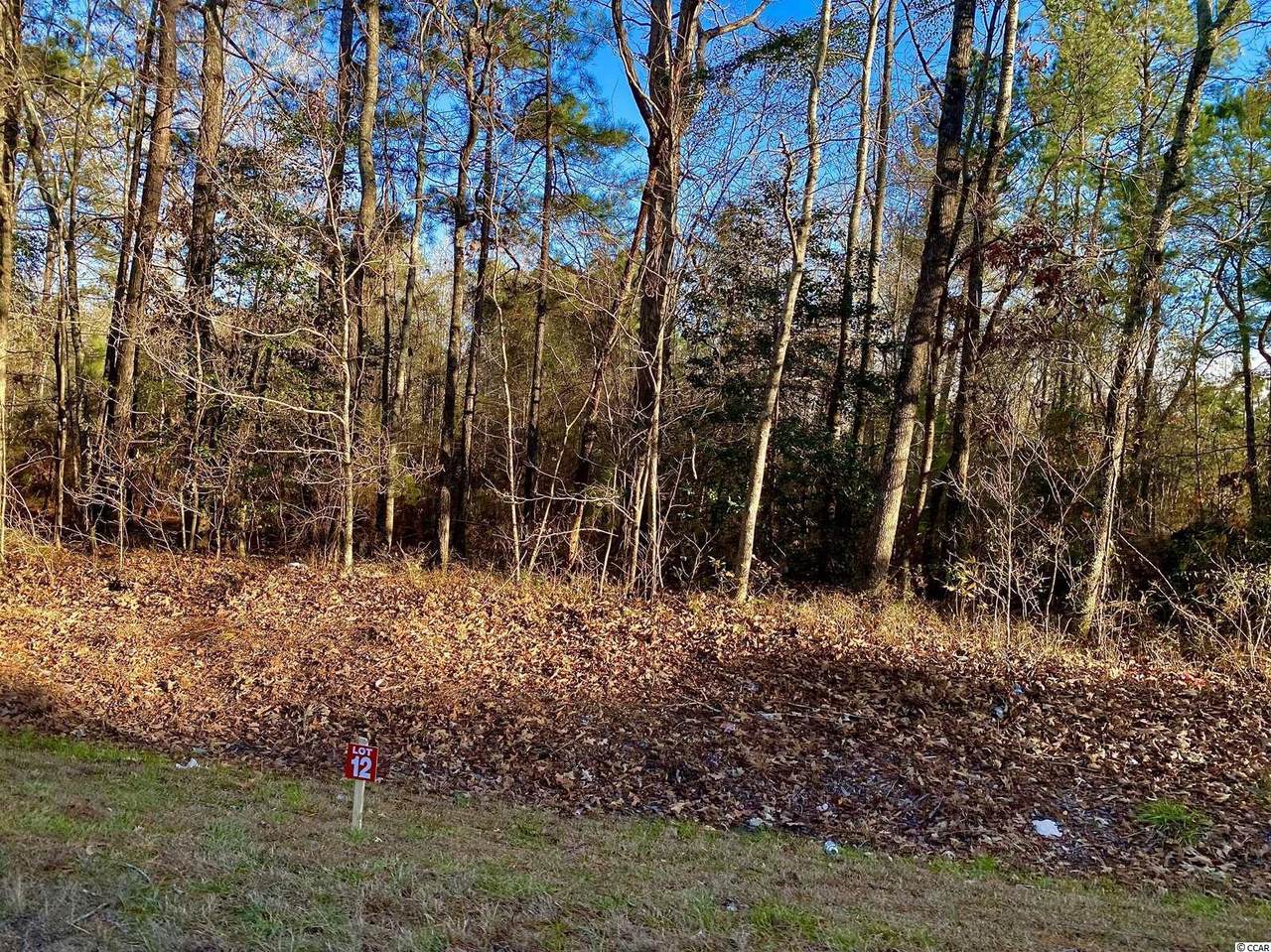TBD Highway 378 - Photo 1