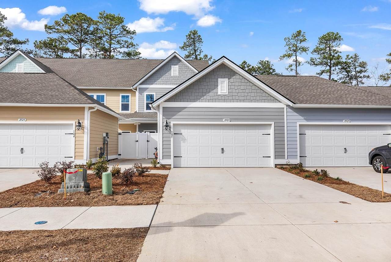 2523 Blue Crane Circle - Photo 1
