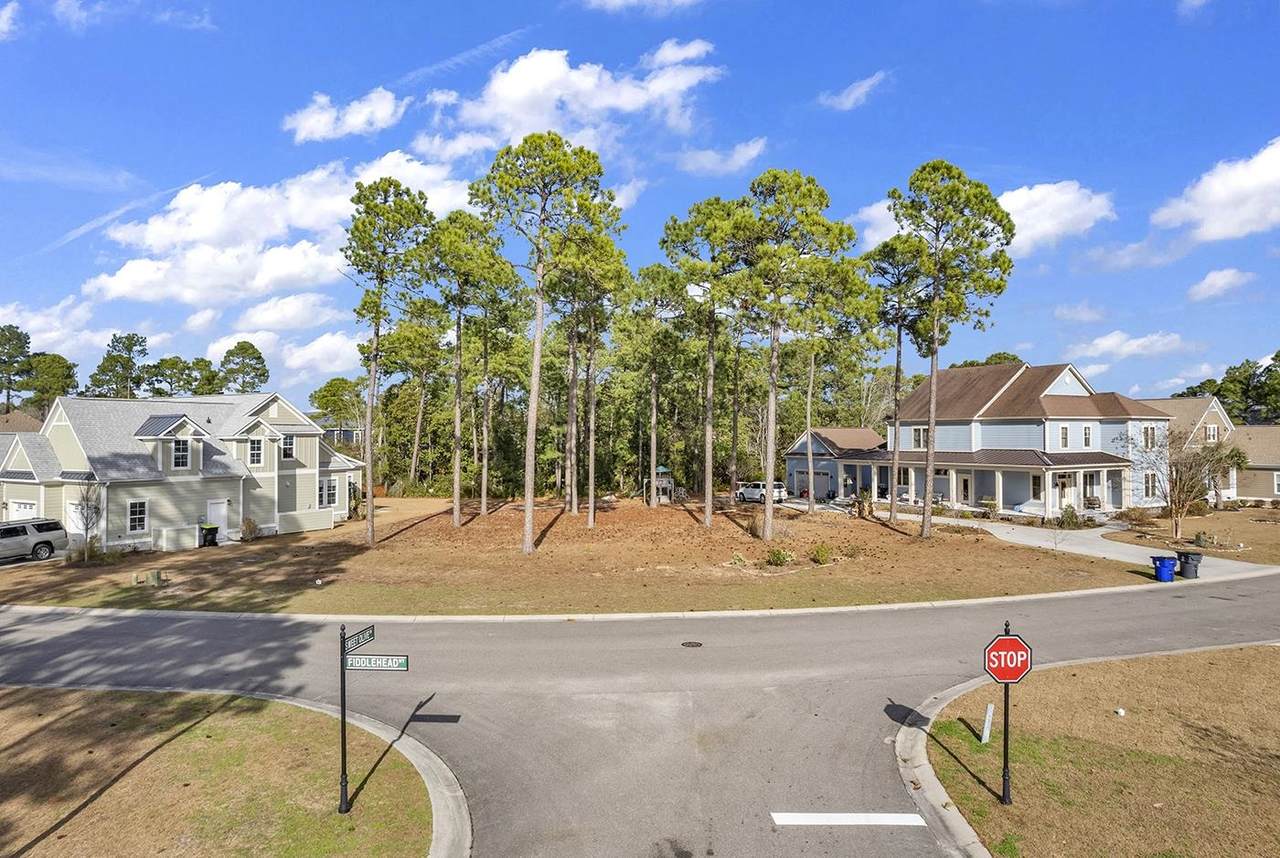 1058 Fiddlehead Way - Photo 1