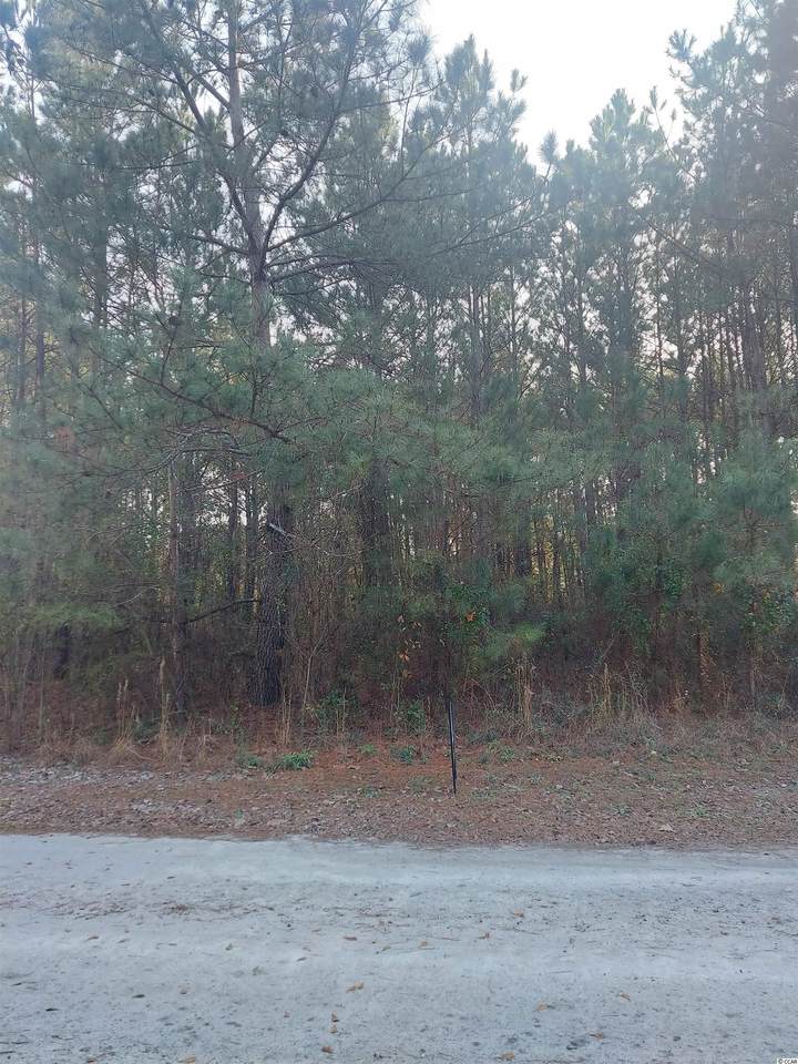 Lot #4 Louisville Rd. - Photo 1