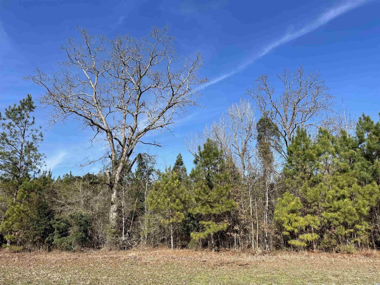 tbt Holliman Rd. - Photo 1