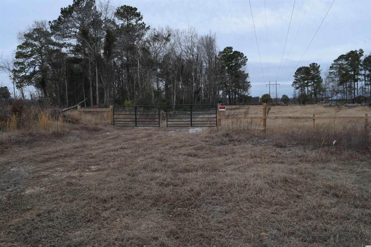TBD Penderboro Rd. - Photo 1