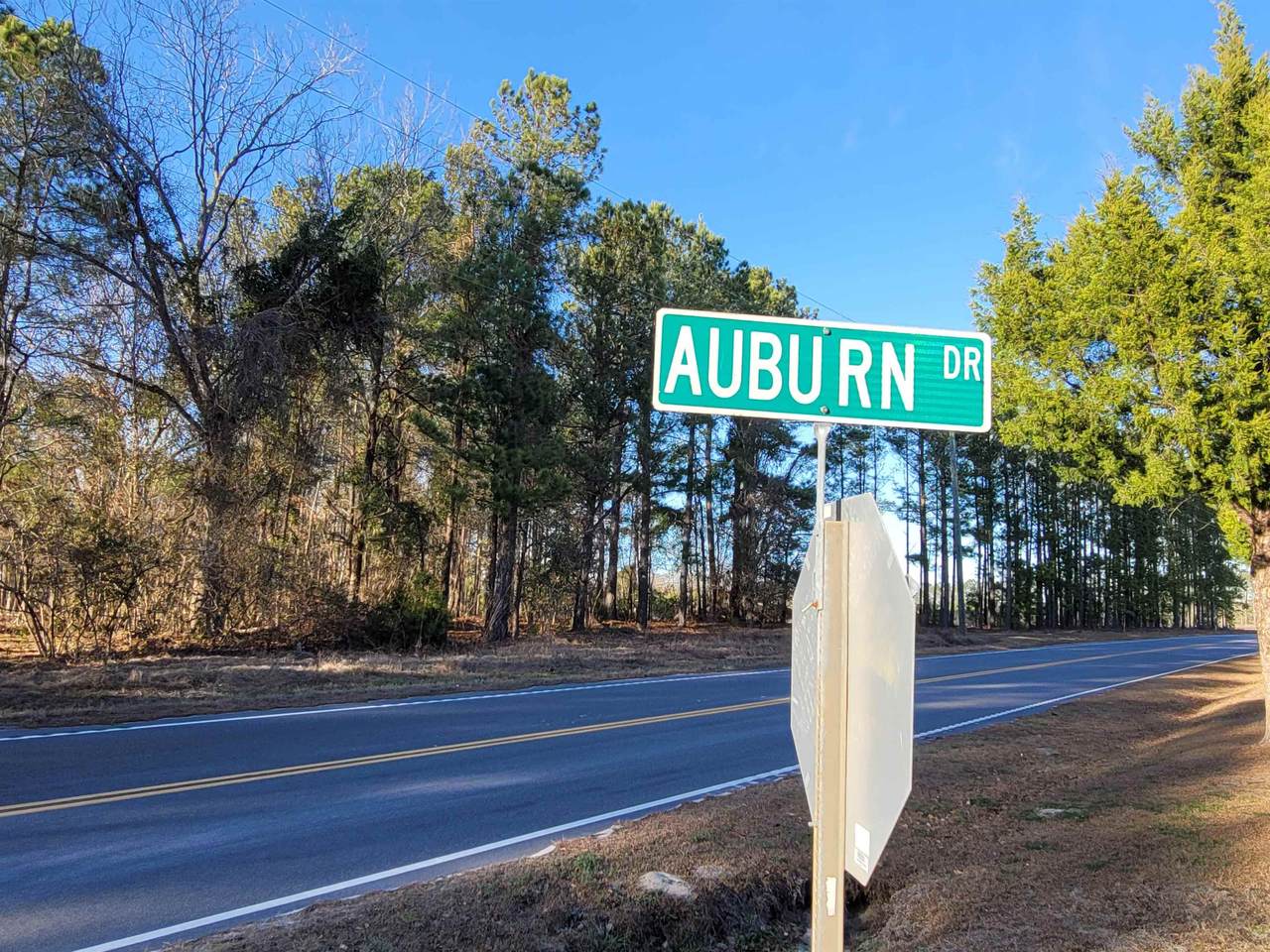 TBD Auburn Rd. - Photo 1