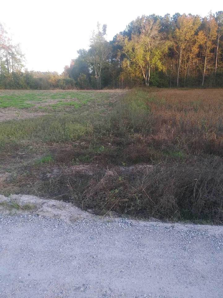 Lot 8 Davis Lane - Photo 1