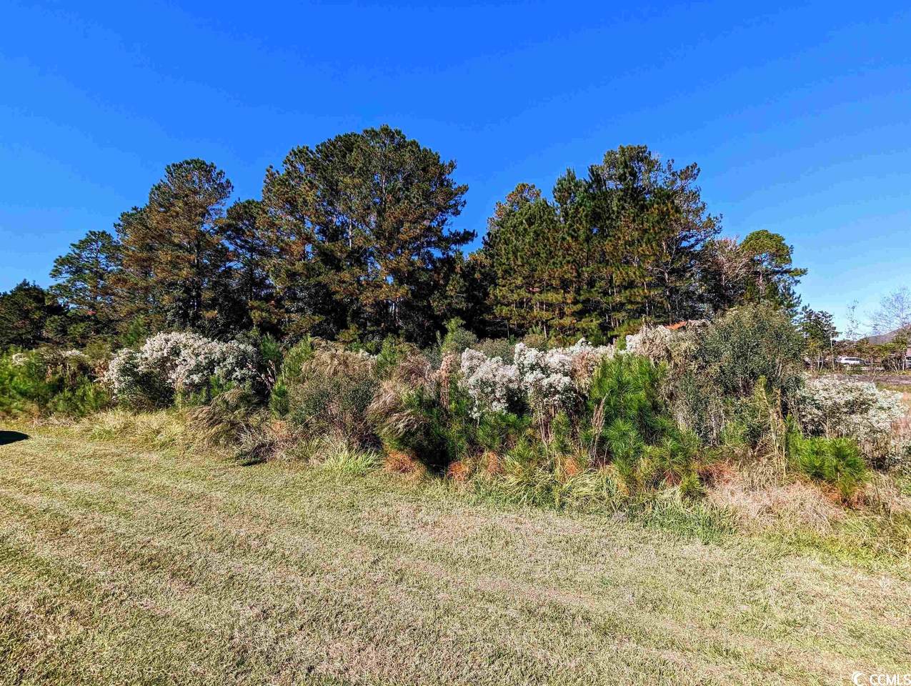 3028 New Castle Loop - Photo 1