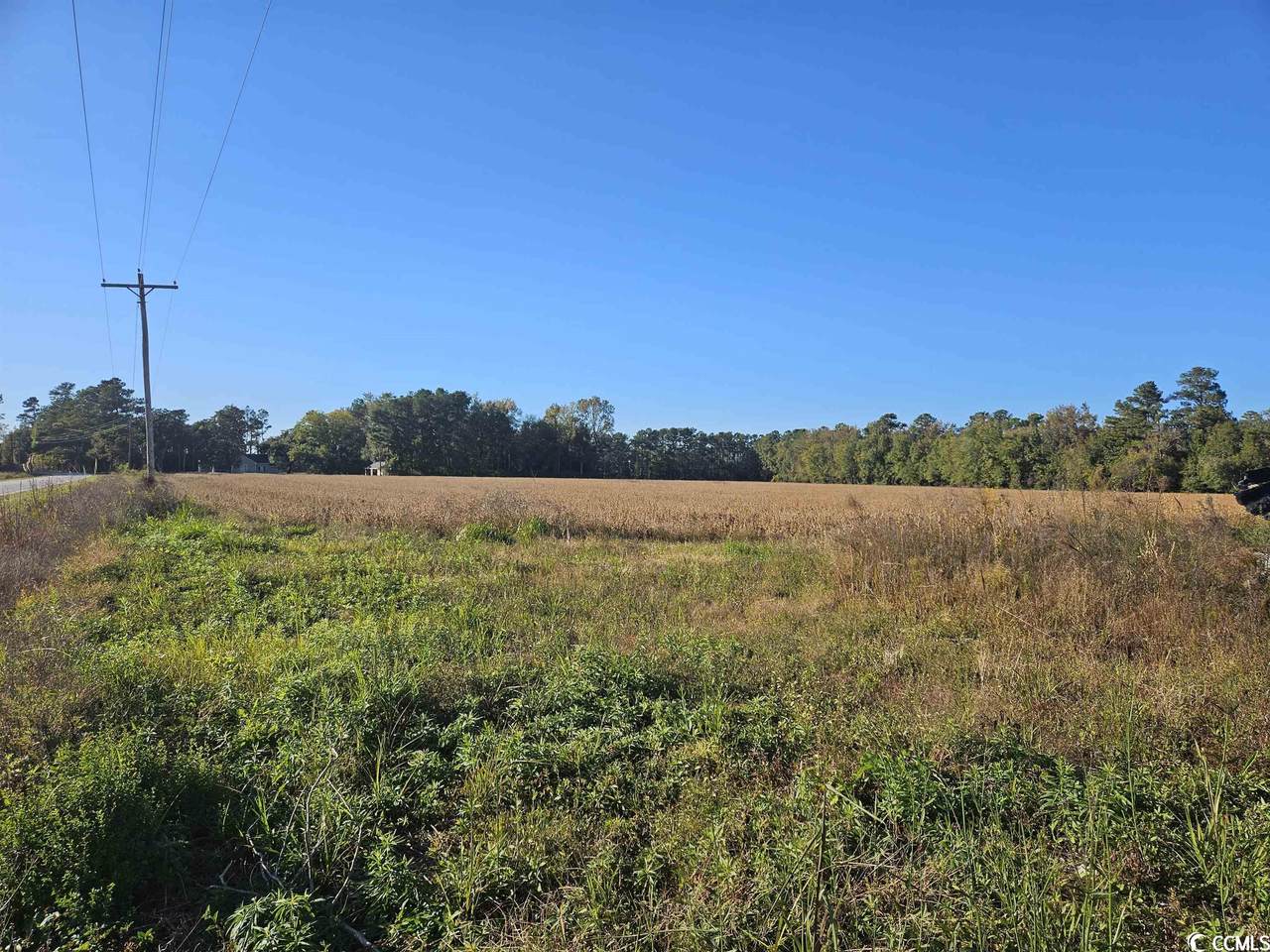 TBD Twin Lakes Rd. - Photo 1