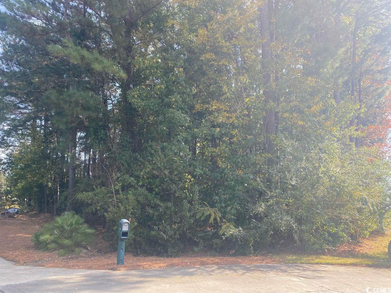 513 Reedy River Rd. - Photo 1