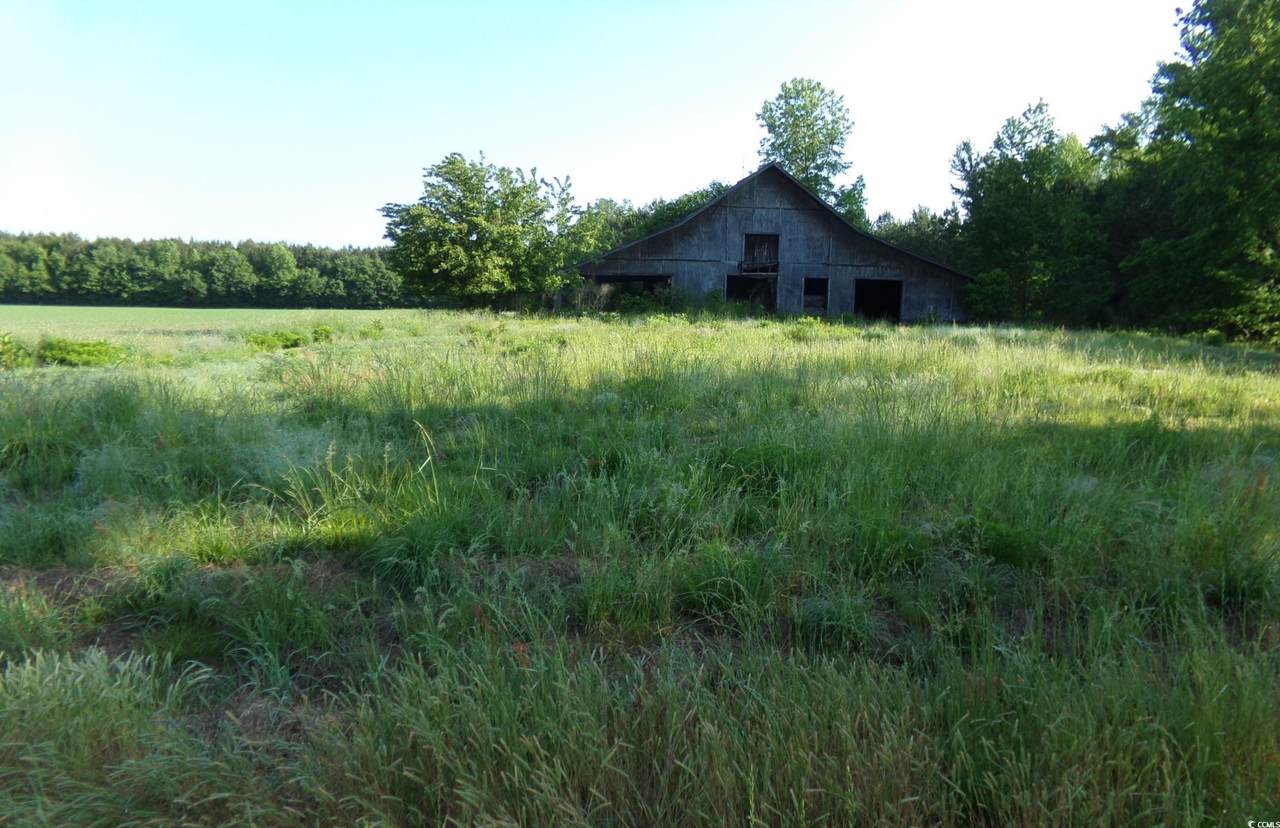 5369 Hamps Rd. - Photo 1