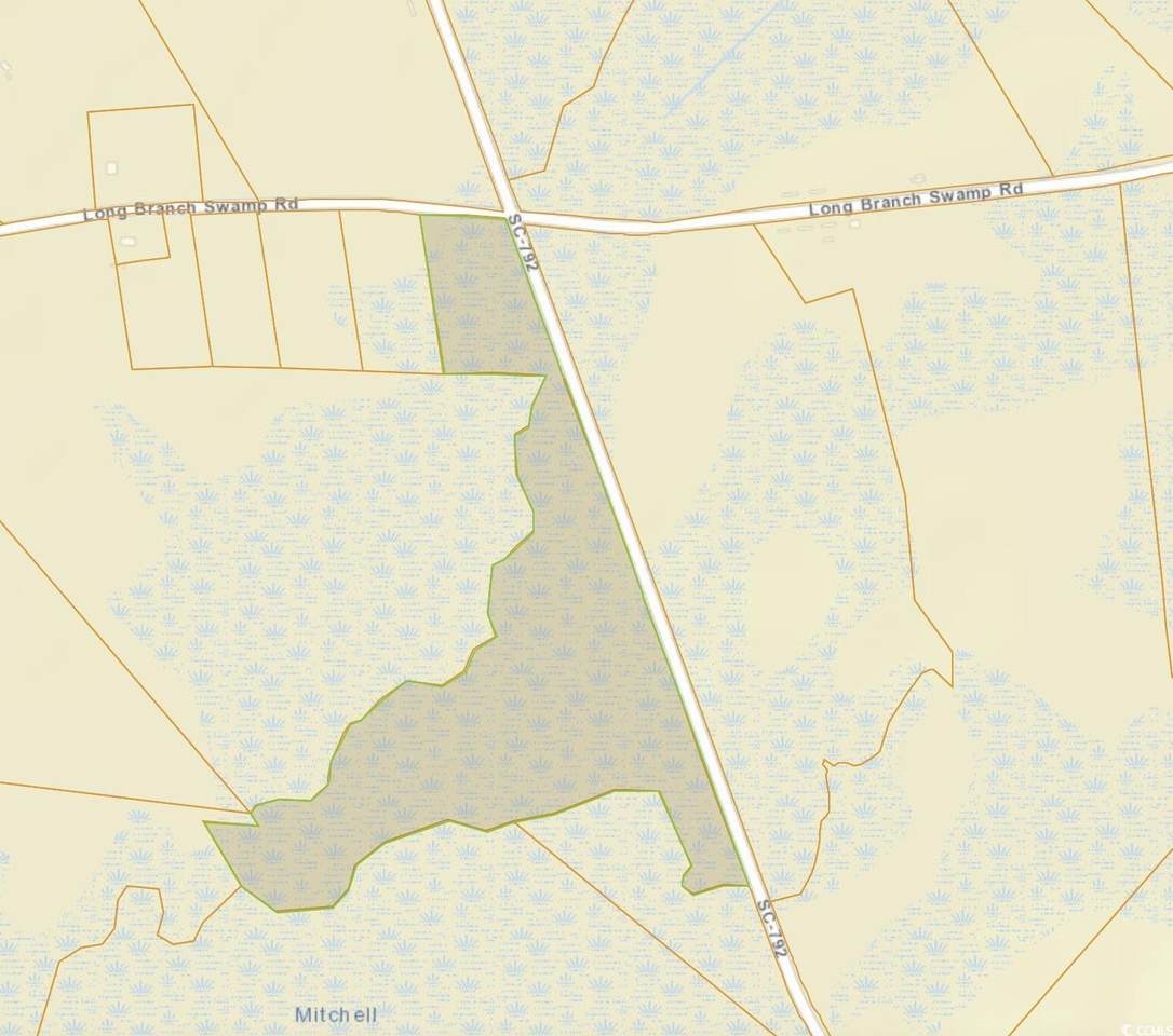 TBD Long Branch Swamp Rd. - Photo 1