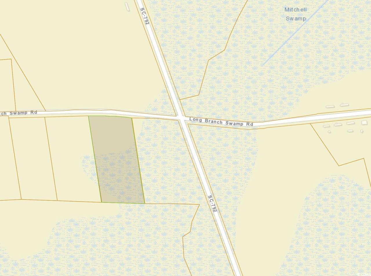 TBD Long Branch Swamp Rd. - Photo 1