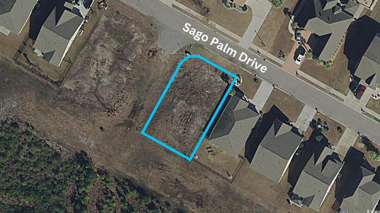 174 Sago Palm Dr. - Photo 1