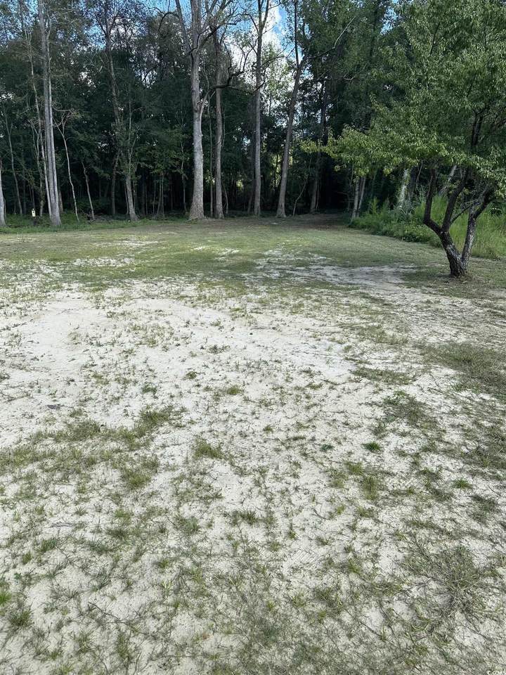 1225 Highway 129 - Photo 1