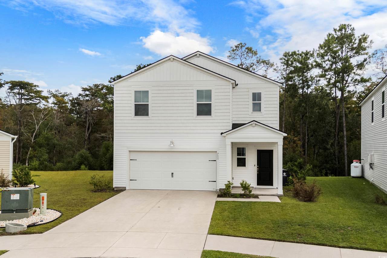 711 Dusty Pine Way - Photo 1