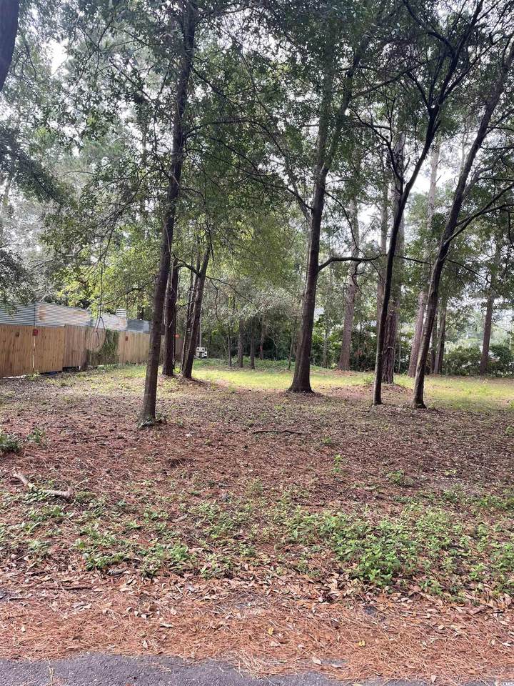 587 Gilmore Ave. - Photo 1