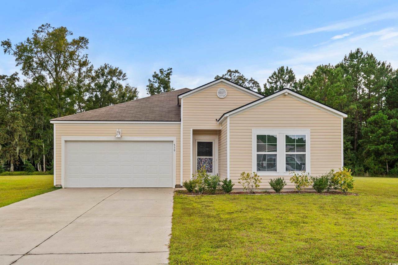 539 Carrick Loop - Photo 1