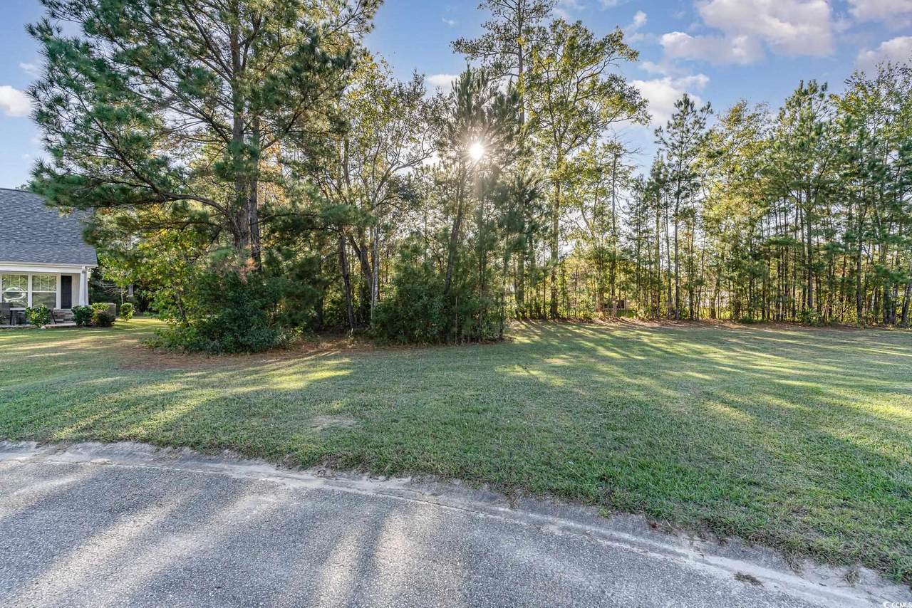 118 Dorset Pl. - Photo 1