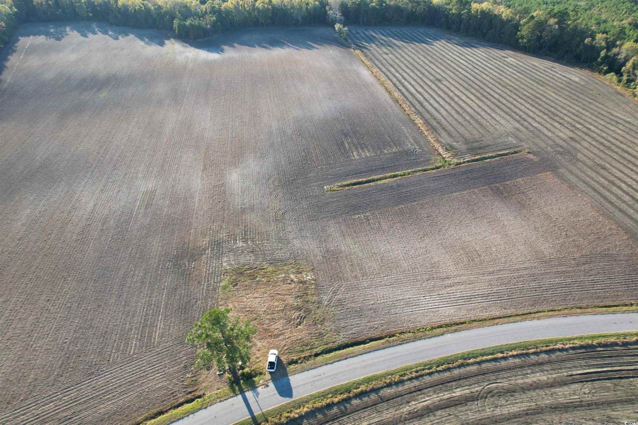 15.98 Acres-TBD Williamson Rd. - Photo 1