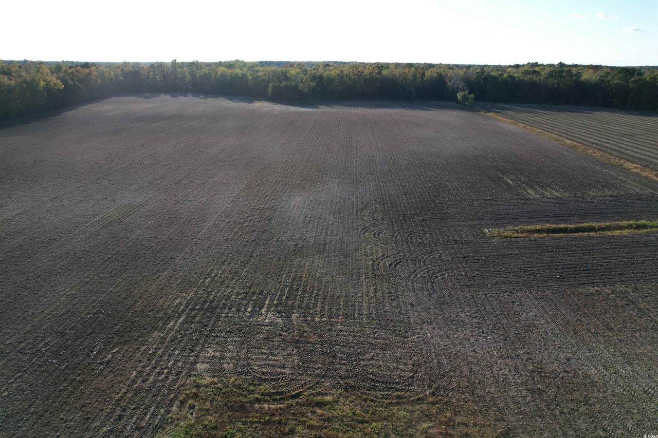 15.98 Acres-TBD Williamson Rd. - Photo 1