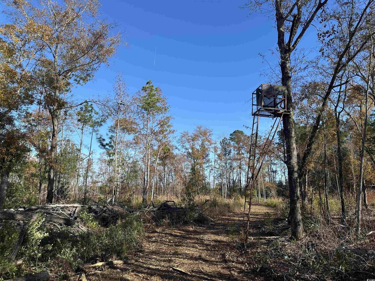 25+/- Acres TBD Corner Rd. - Photo 1