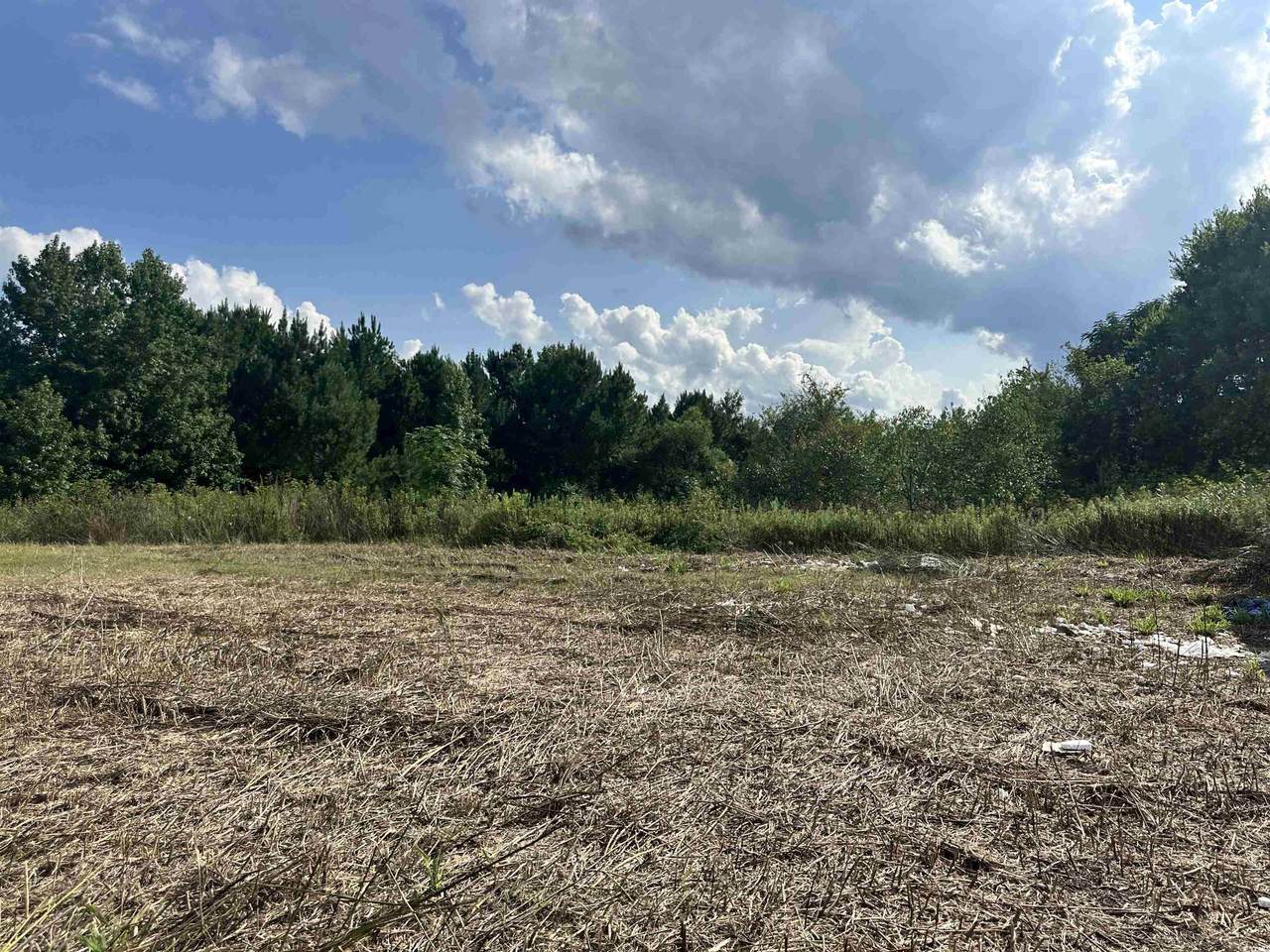100 Lulu Ln. - Photo 1