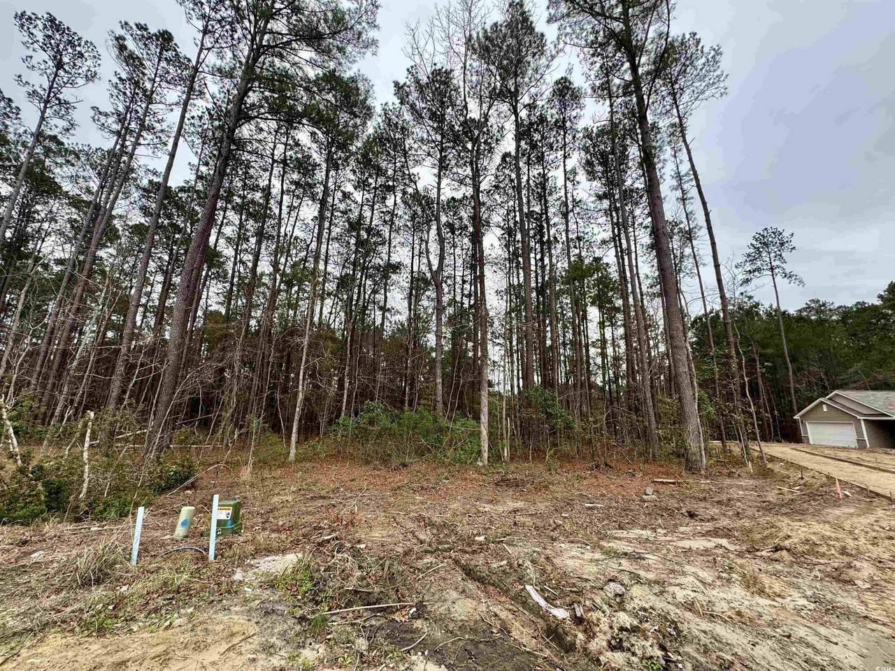 200 Joanna Gillard Ln. - Photo 1