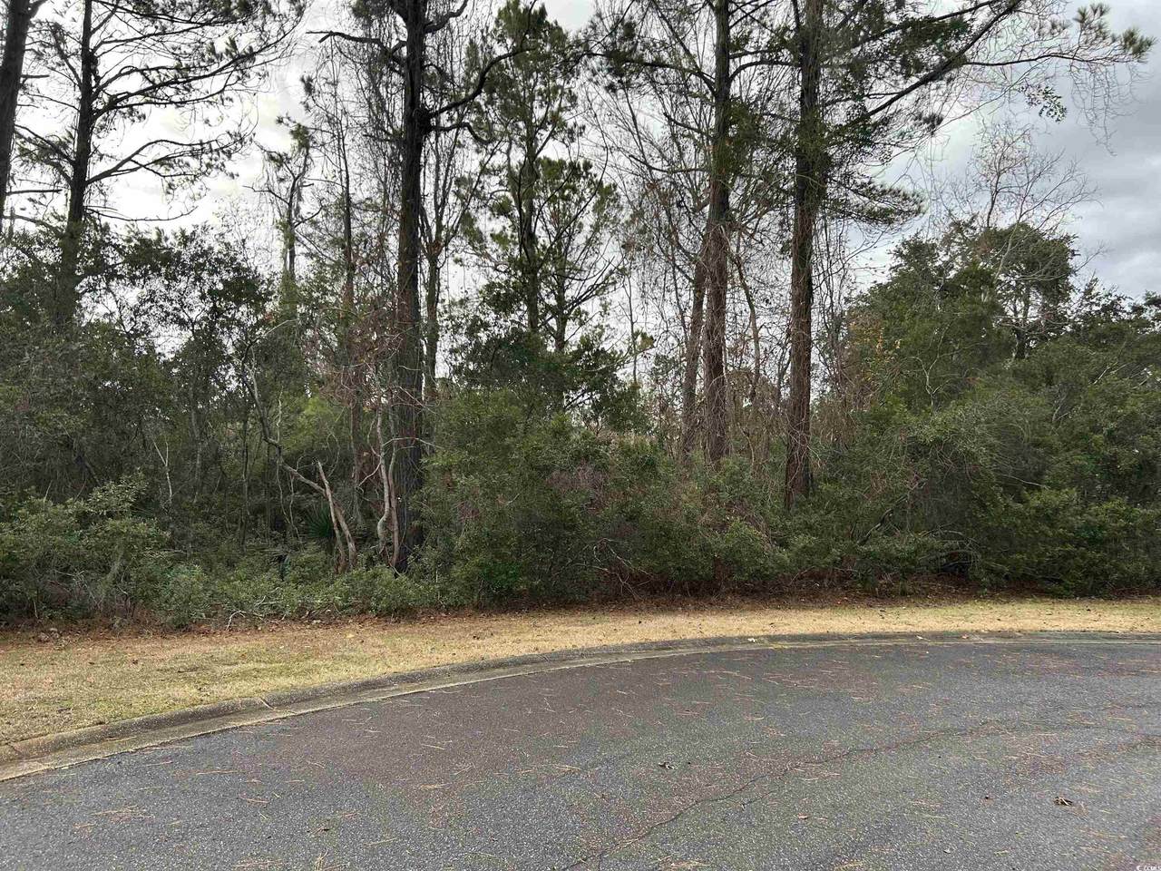 Lot 4 Josie Way - Photo 1