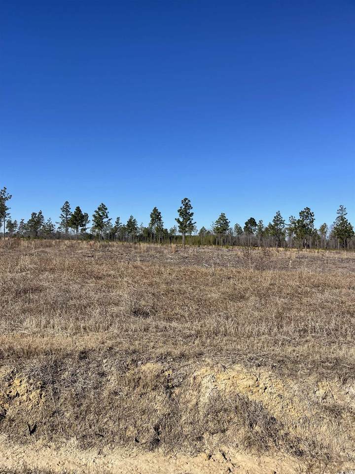 2742 Scarbrough Dr. - Photo 1