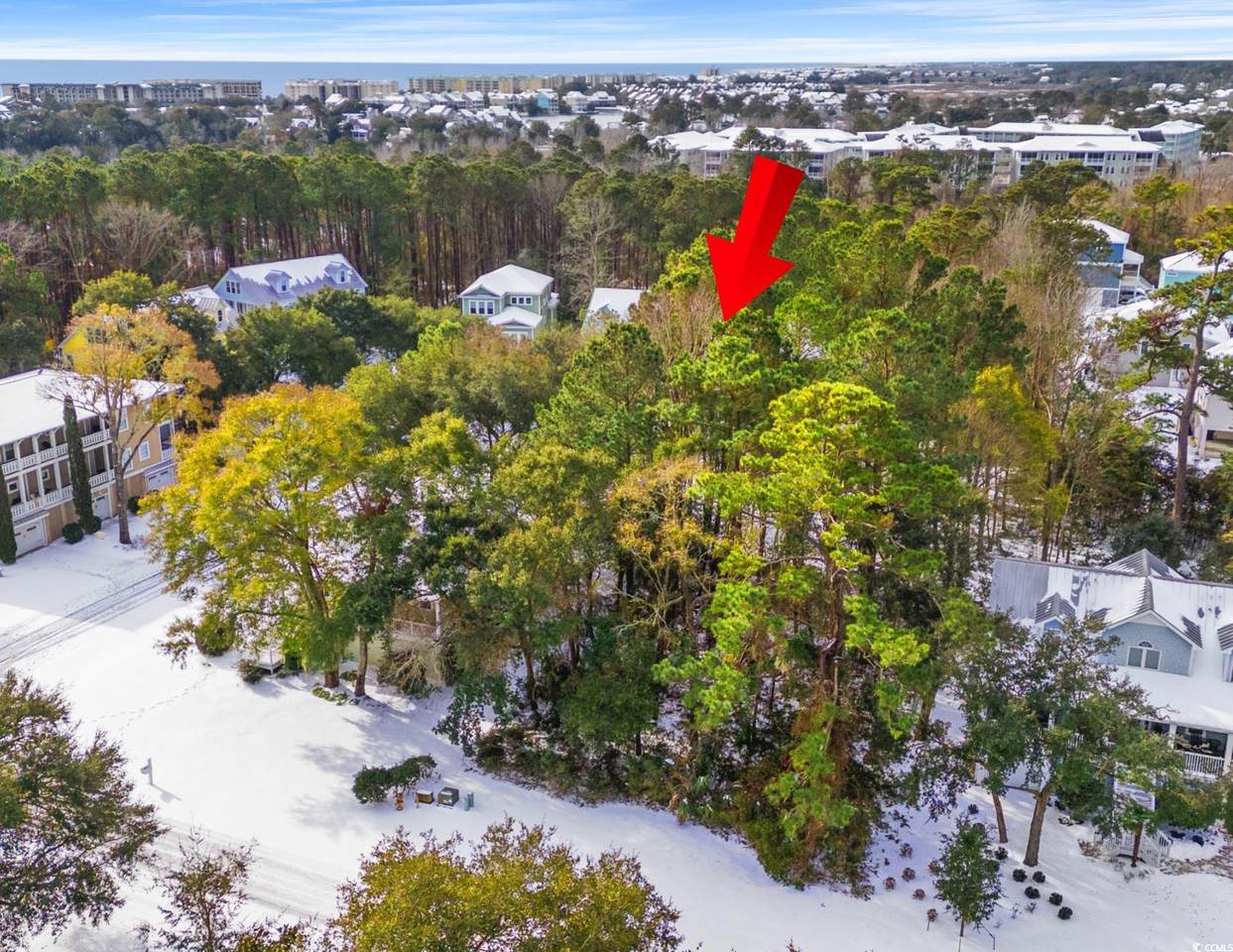 Lot 33 Cayman Loop - Photo 1