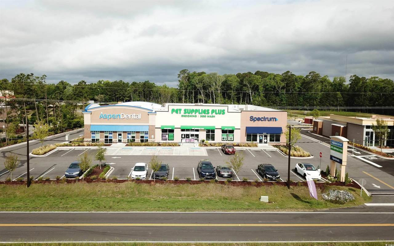 12150 Highway 17 Bypass - Photo 1