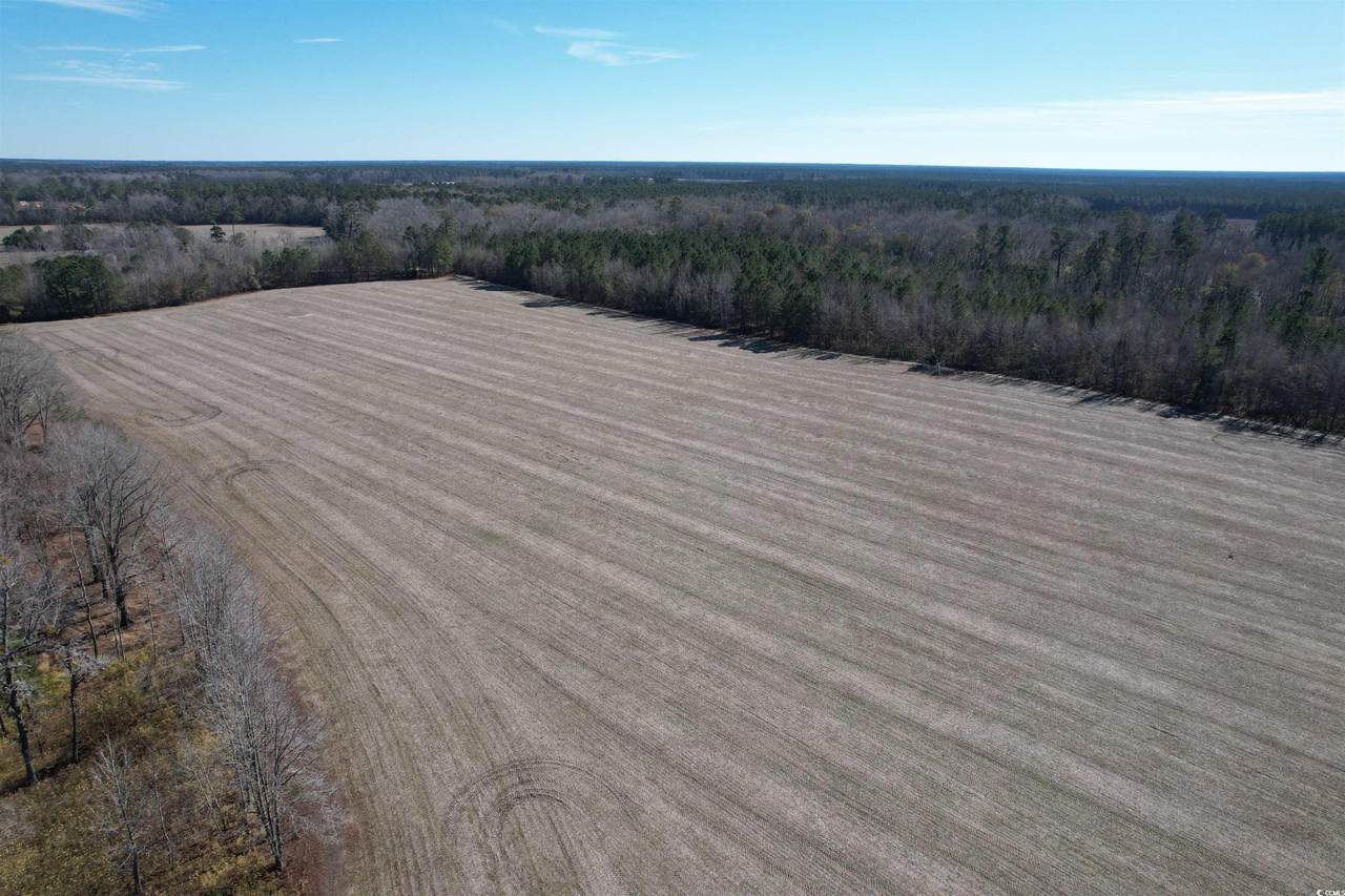 36.19 Acres-TBD Big Woods Rd. - Photo 1