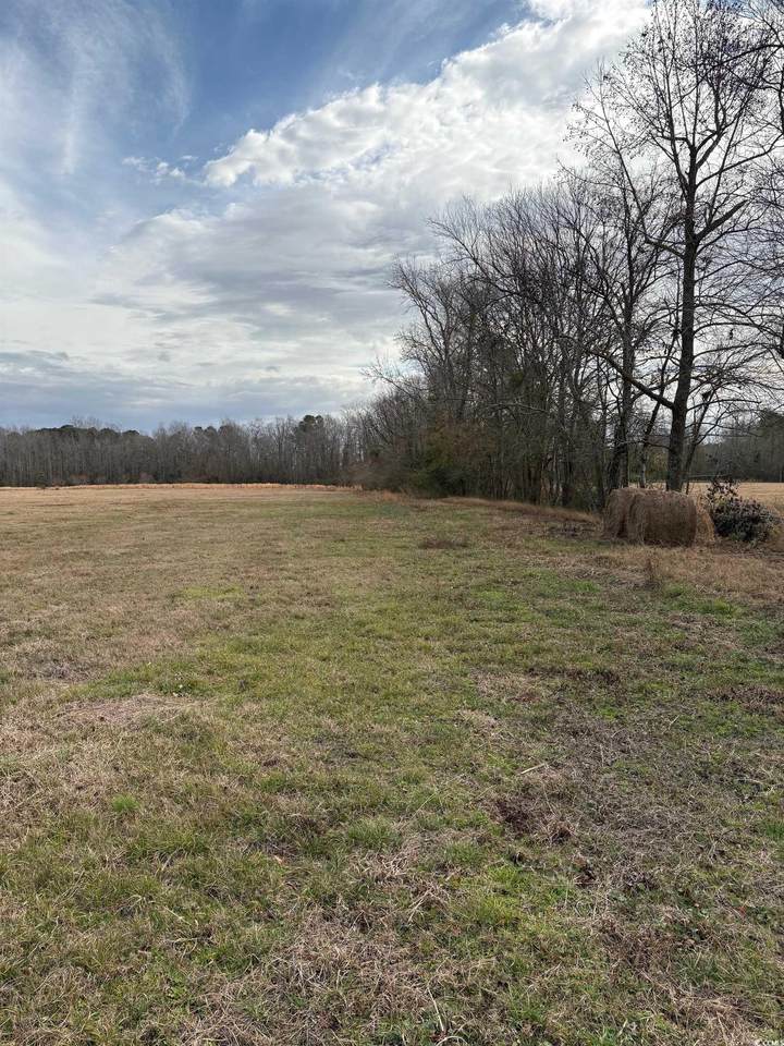 TBA 455 Dothan Rd. - Photo 1