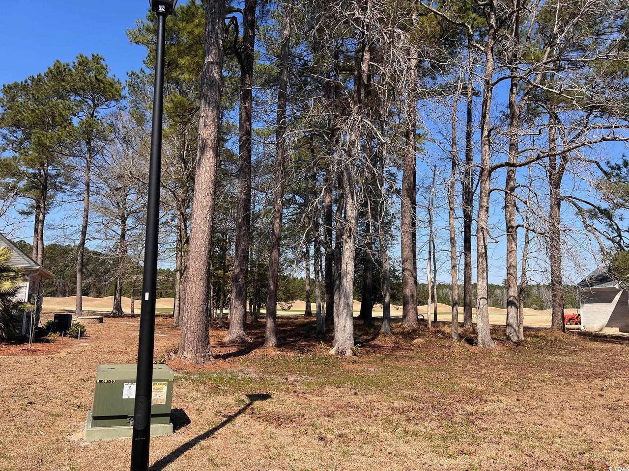 104 Long Bay Golf Pl. - Photo 1